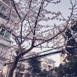 色综合久久久久
