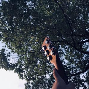 色综合久久久久
